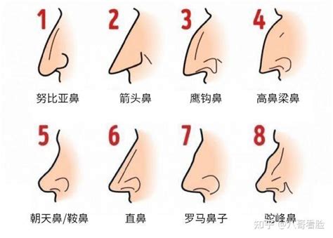 三角形鼻子面相|十五种鼻型，你属于哪一种？